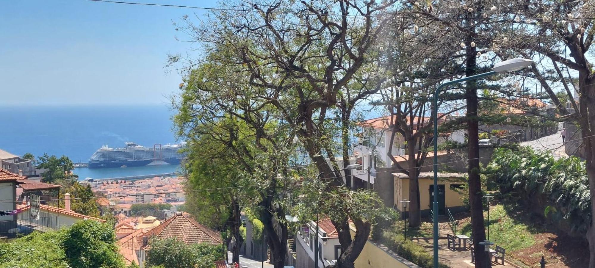 Villa City Funchal  Exterior photo